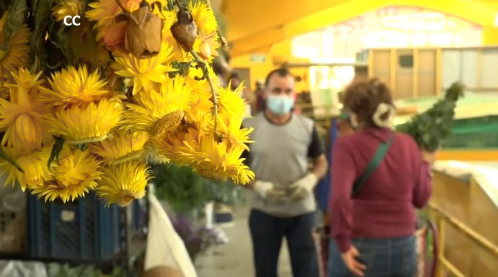 placita_de_flores