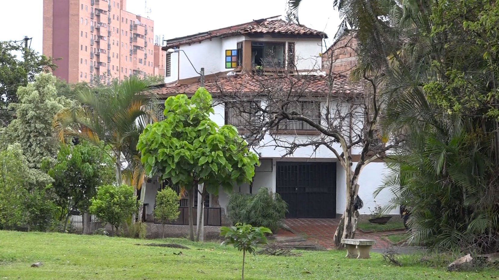 día_del_árbol