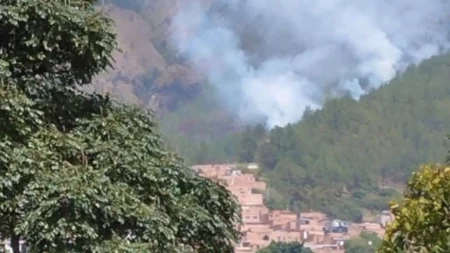 Incendio-quitasol