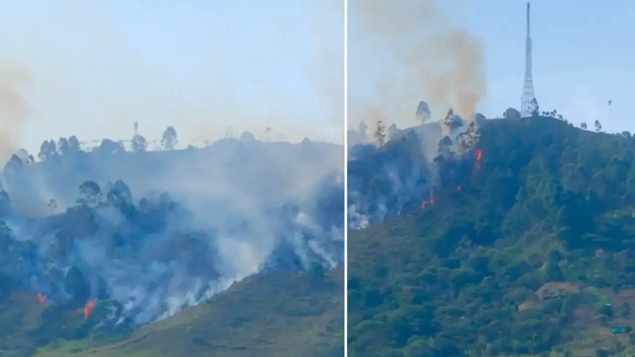 Voraz incendio de cobertura vegetal se registra en Bello