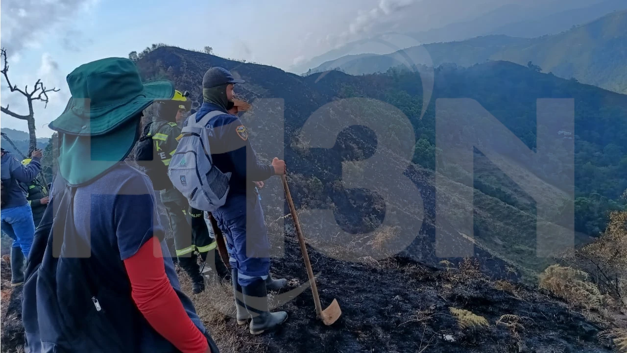 Incendio forestal en Anzá sigue activo tras 4 días: Bomberos y comunidad trabajan para controlarlo