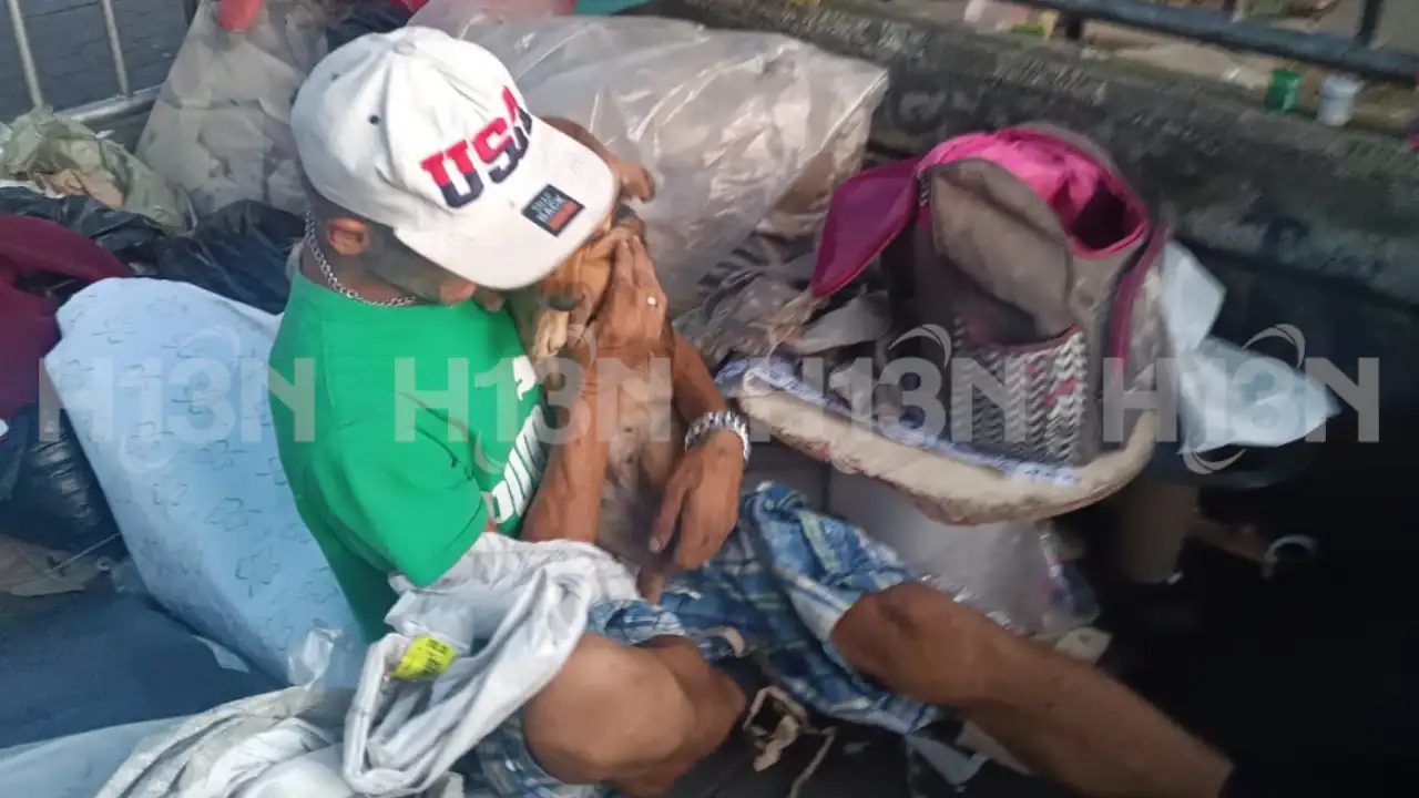 Encuentran a “Niña”, la perrita del habitante de Calle que desapareció tras el fallecimiento de su dueño en Medellín