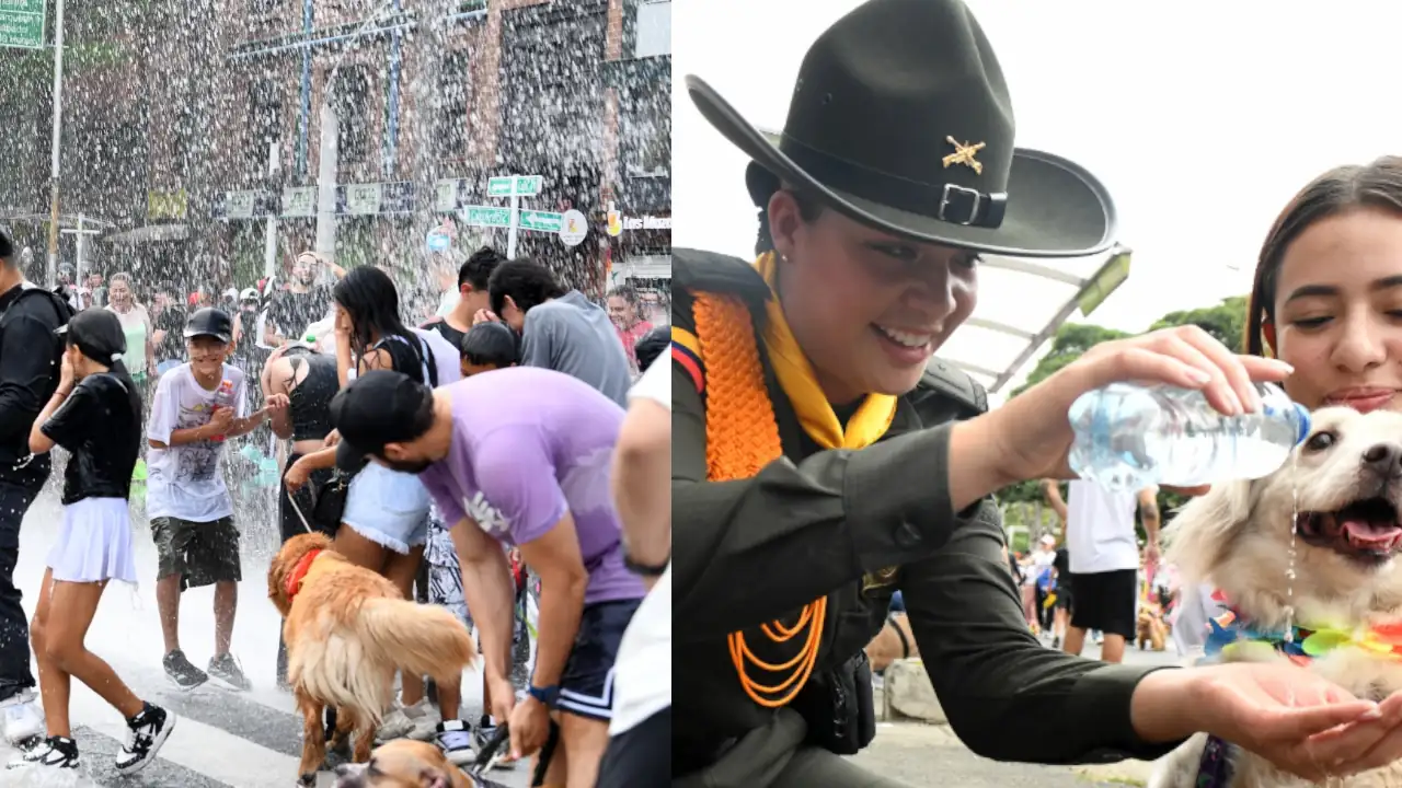 Caminata Canina en la Feria de las Flores 2024: Los peluditos disfrutan de su evento