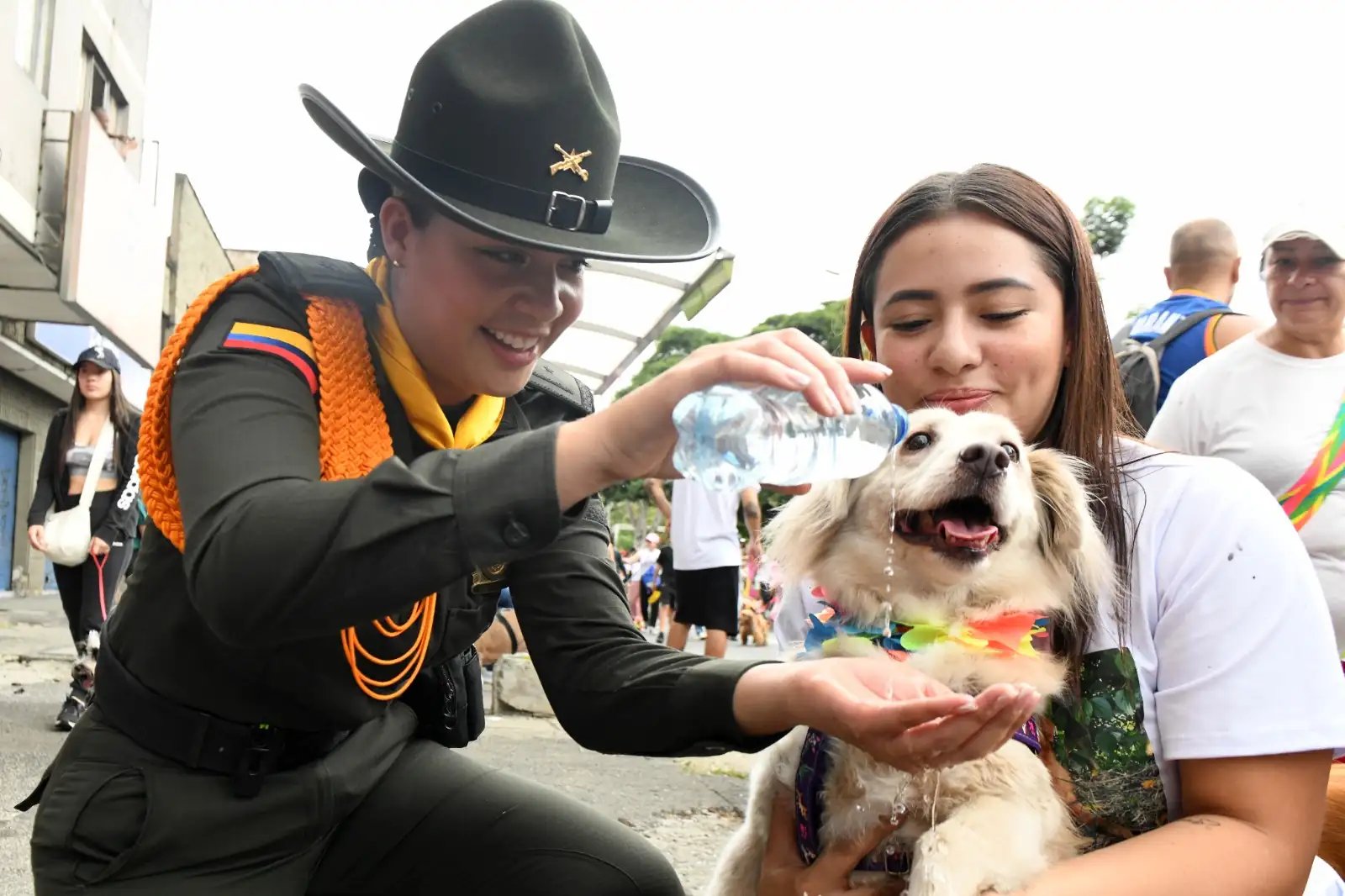 Caminata Canina en la Feria de las Flores 2024: Los peluditos disfrutan de su evento