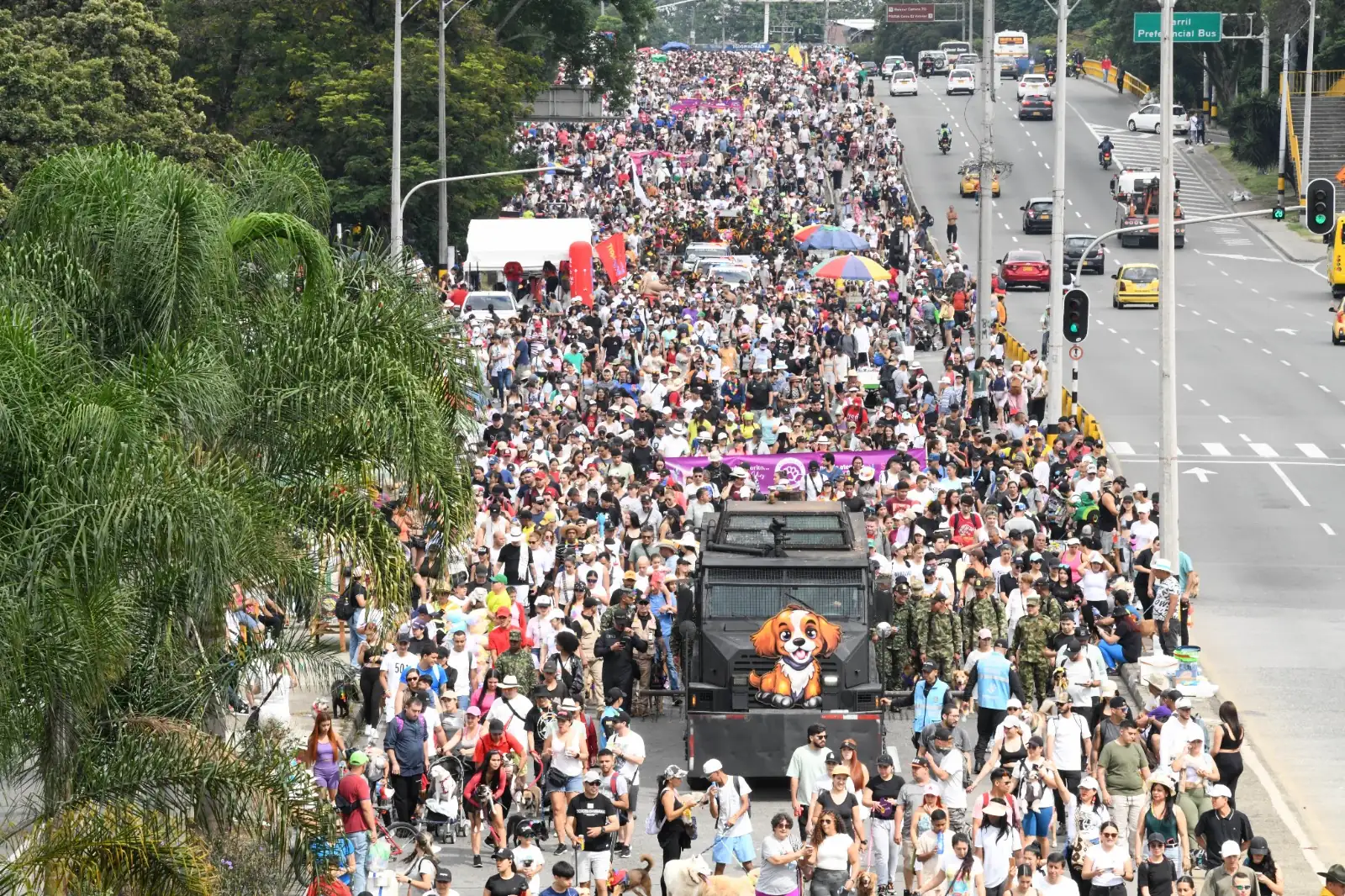 Caminata Canina en la Feria de las Flores 2024: Los peluditos disfrutan de su evento