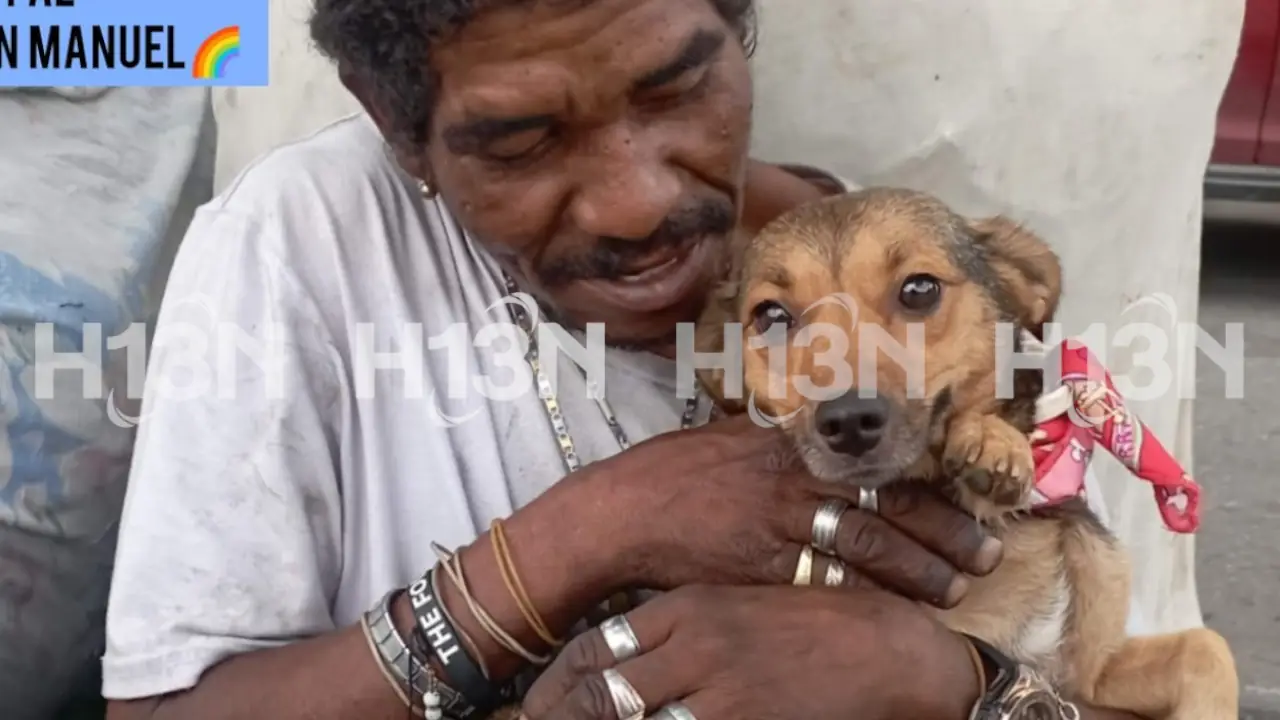 'Niña', la inseparable perrita de un habitante de calle que falleció en Medellín está desaparecida: ¿La has visto?