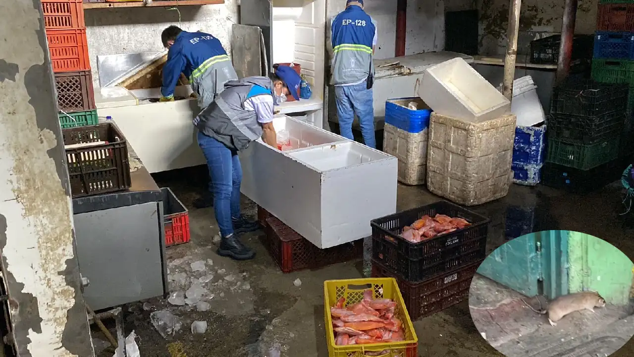 ¡Pilas con la carne y pescado que compra! En Medellín incautaron toneladas de este alimento en mal estado 1 carne-pescado-malestado-incautado-medellin3