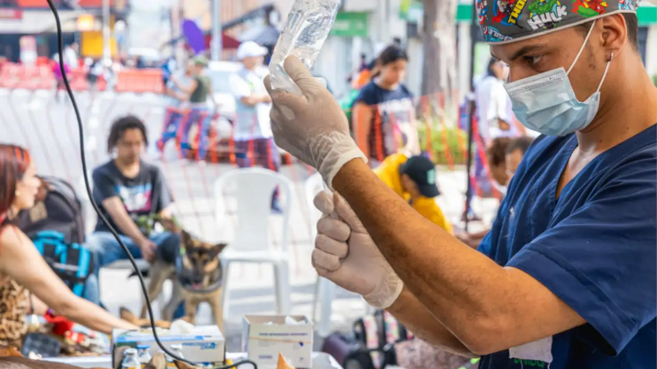 ¡Recuerde inscribir a su mascota! Continúan las jornadas de esterilización para mascotas en el Valle de Aburrá 2 esterilizacion-Medellín-dos