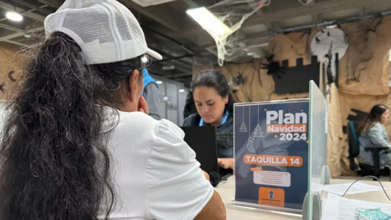 ¡Participe! Abren inscripciones para vendedores informales que deseen estar en zonas de alumbrados navideños 1 ventas-navidad-