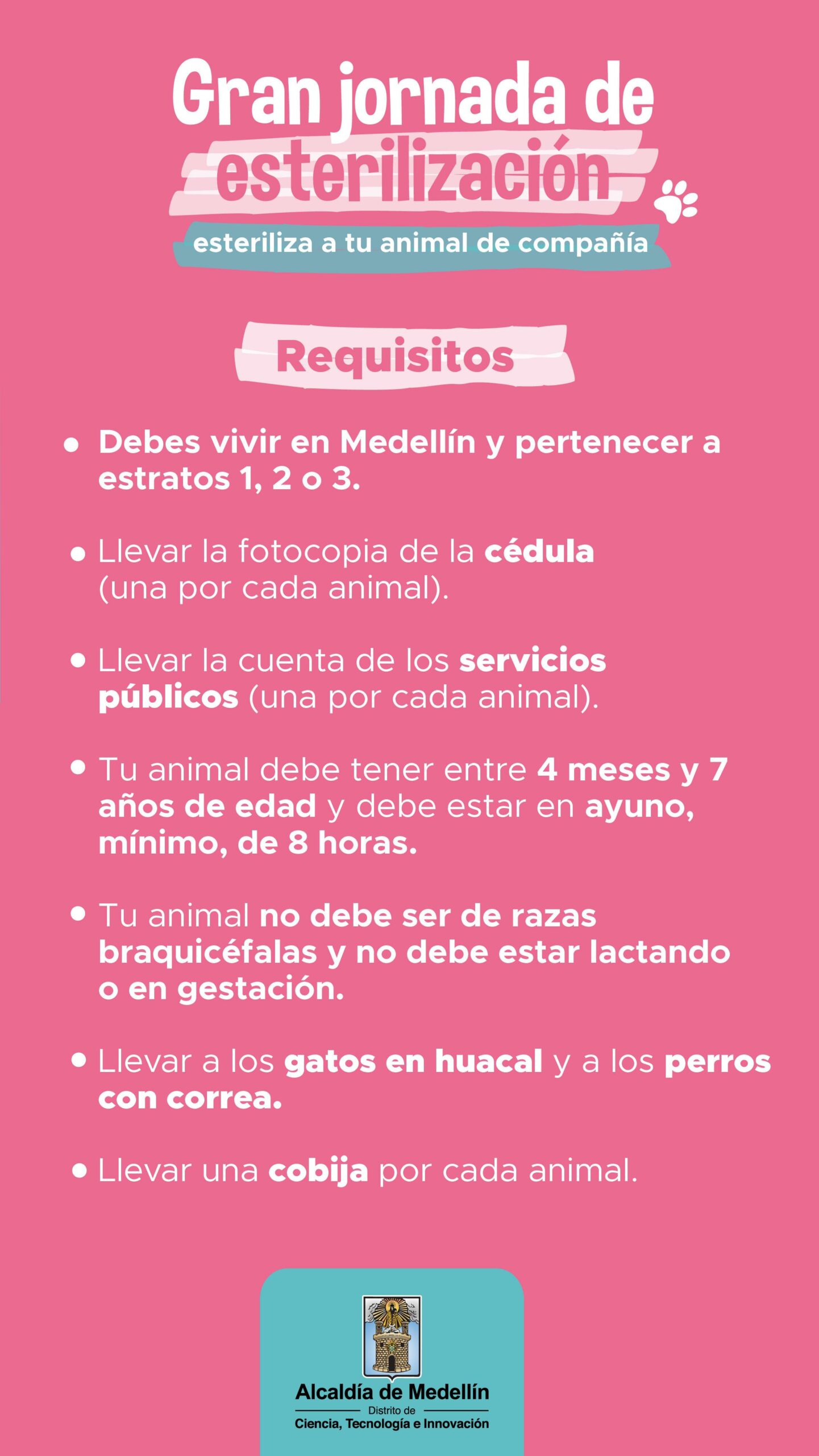¡Atento! porque habrá jornada de esterilización para mascotas este fin de semana. Conozca dónde 2 WhatsApp Image 2024 11 20 at 4.41.25 PM 1 scaled
