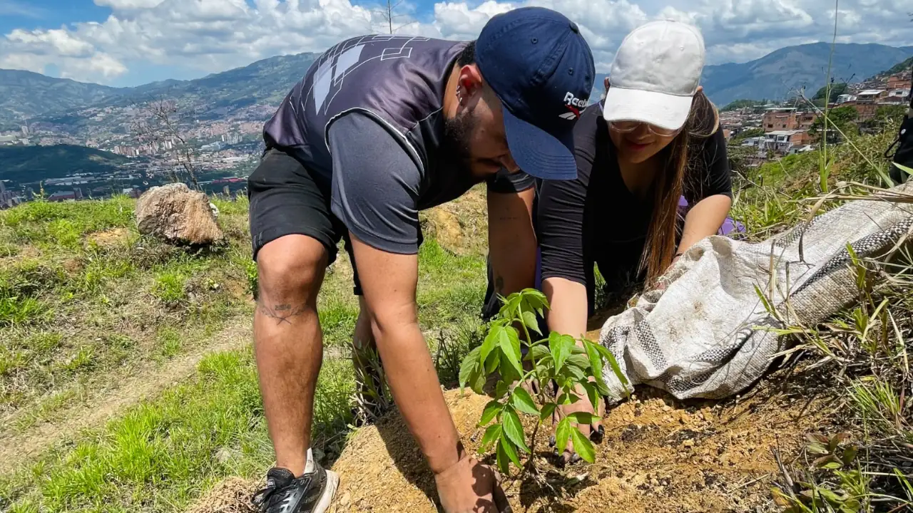 Sembratón en Medellín: 46.000 nuevos árboles para el Bosque de los Héroes 1 Sembratón en Medellín: 46.000 nuevos árboles para el Bosque de los Héroes