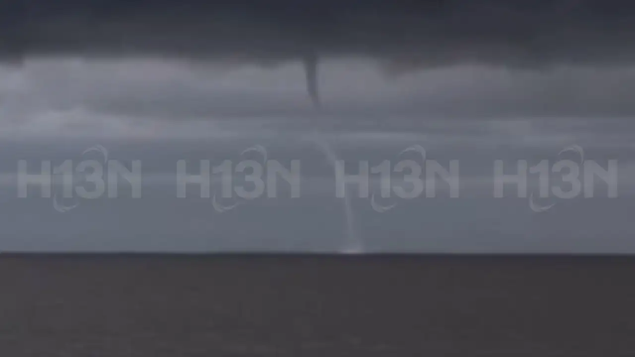 [Video] ¡Impresionante! Esto sucedió en el mar de Antioquia