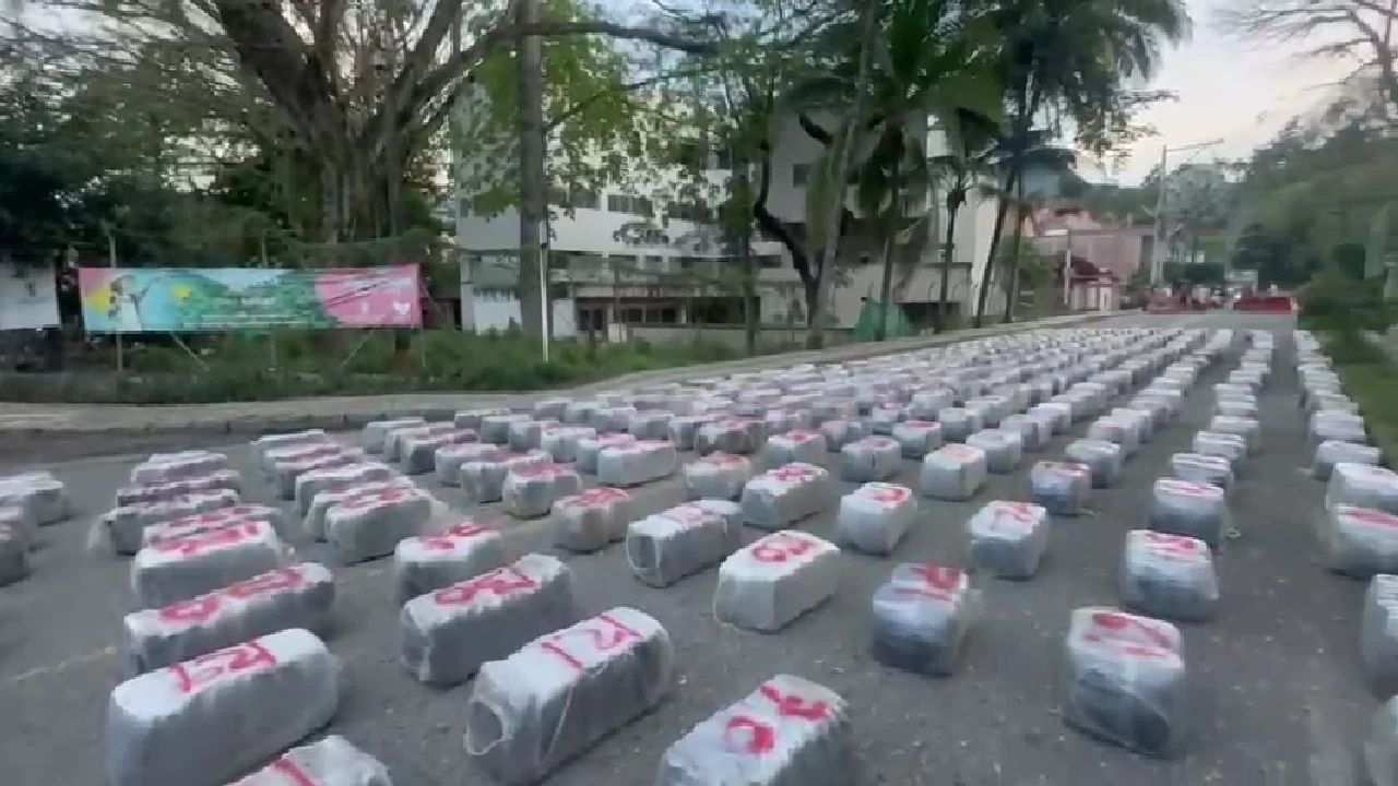 Detalles de la mega incautación de marihuana en La Pintada: eran 5.5 toneladas que transportaba el camión 4 cargamenta-marihuana-lapintada-cinco-toneladas-camion2