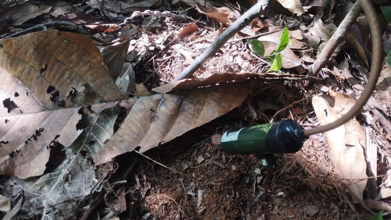 En zona rural de Cáceres hallaron una mina antipersonal que habría sido instalada por el Clan del Golfo 1 mina-antipersonal-destruida-caceres1