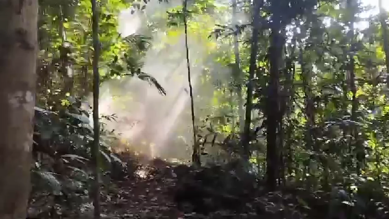 En zona rural de Cáceres hallaron una mina antipersonal que habría sido instalada por el Clan del Golfo 3 mina-antipersonal-destruida-caceres3
