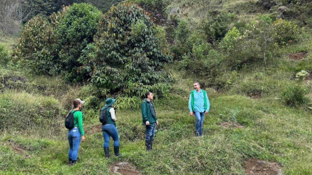 Antioquia Avanza en la Restauración de Cuencas Hídricas con Más de 236 Mil Árboles Sembrados
