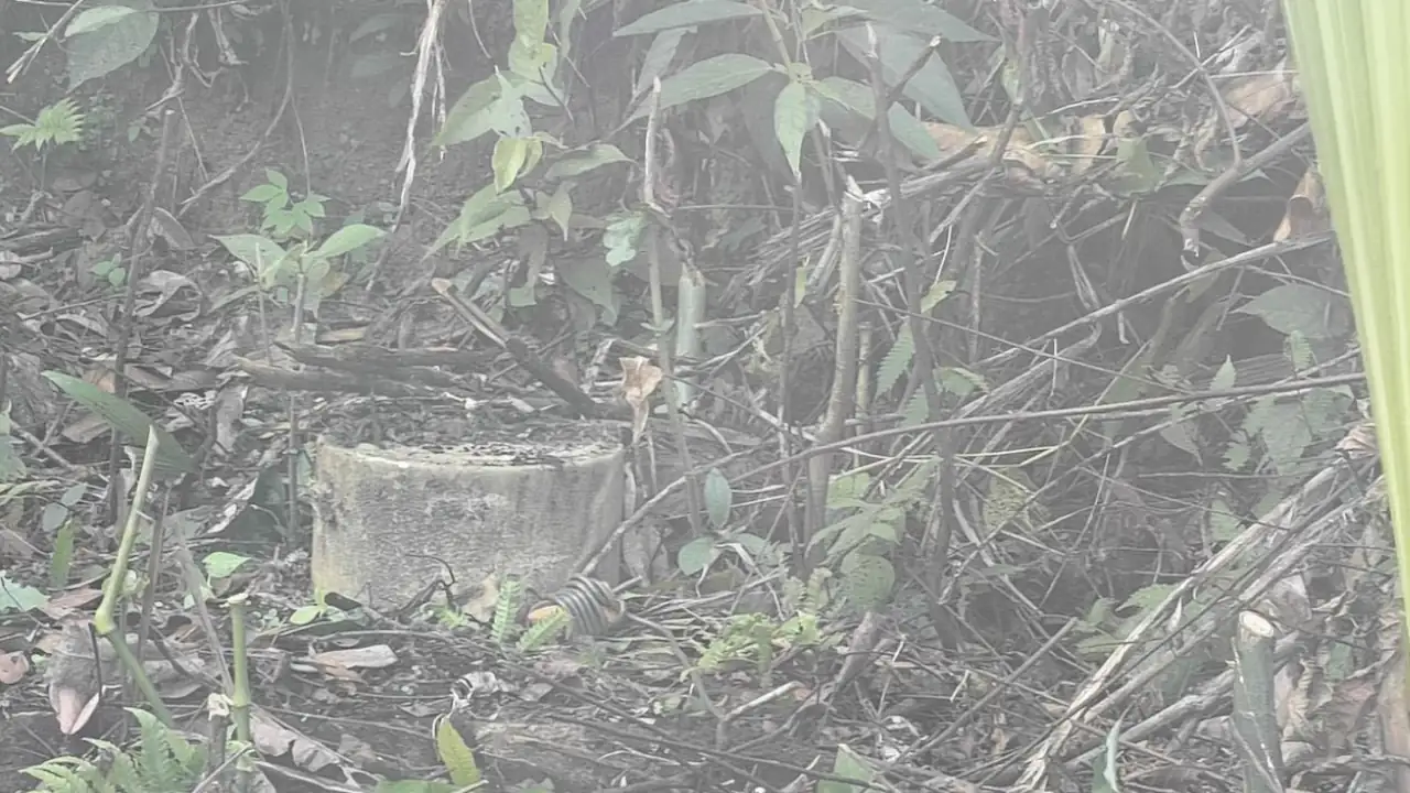 Ejército encontró y destruyó un cilindro bomba en la vía que va de Medellín a la costa Atlántica