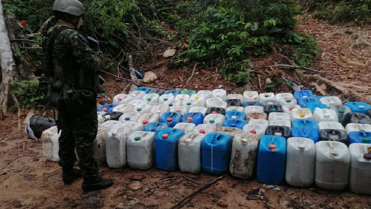 En Antioquia el Ejército ha destruido 31 complejos de coca del Clan del Golfo en lo que va del 2025 2 laboratorios-complejos-cocaina-desmantelados-antioquia-cordoba2