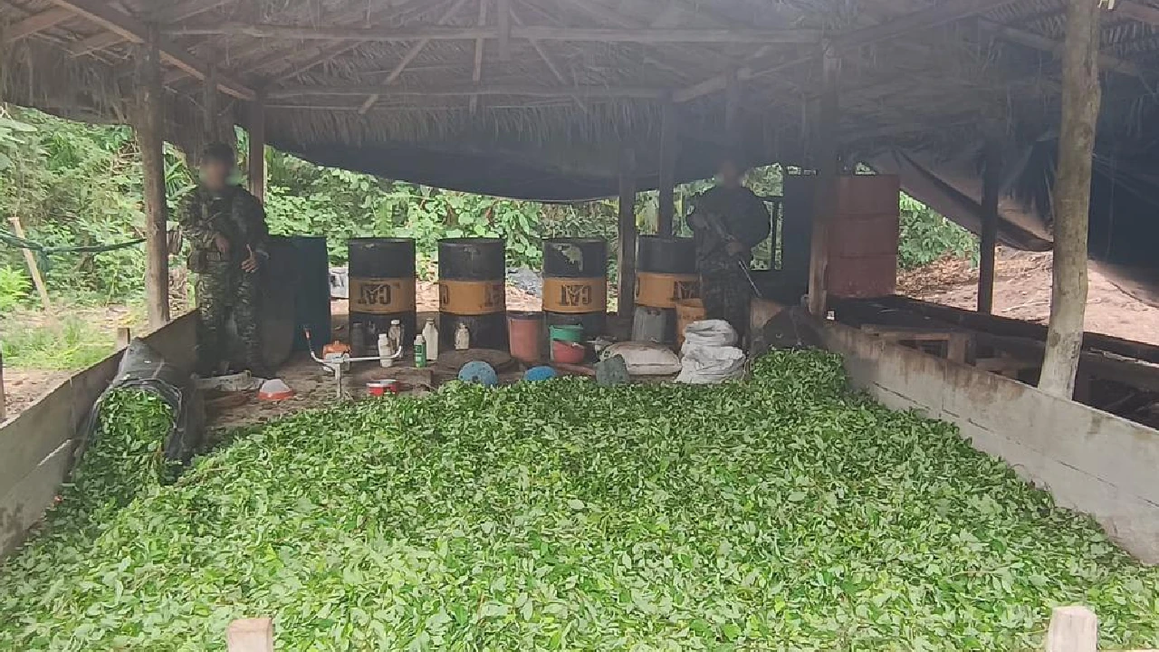 En Antioquia el Ejército ha destruido 31 complejos de coca del Clan del Golfo en lo que va del 2025 4 laboratorios-complejos-cocaina-desmantelados-antioquia-cordoba5