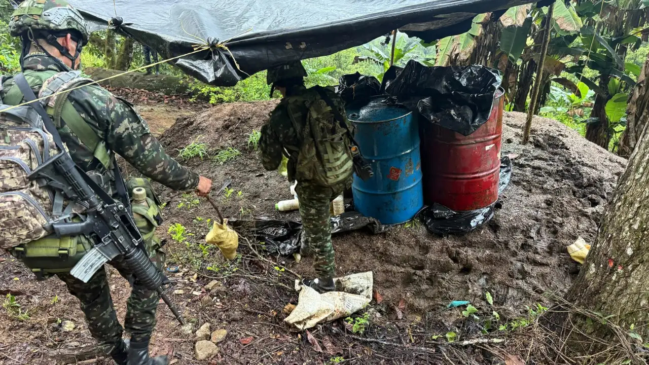 Ejército destruye cuatro laboratorios para procesar coca en zona rural de Valdivia
