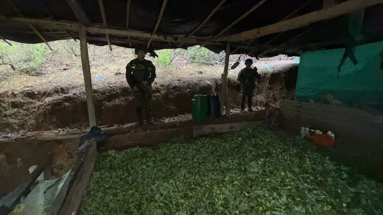 Ejército destruye cuatro laboratorios para procesar coca en zona rural de Valdivia