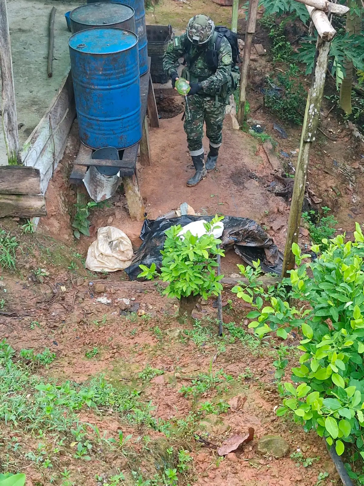 Ejército destruye cuatro laboratorios para procesar coca en zona rural de Valdivia