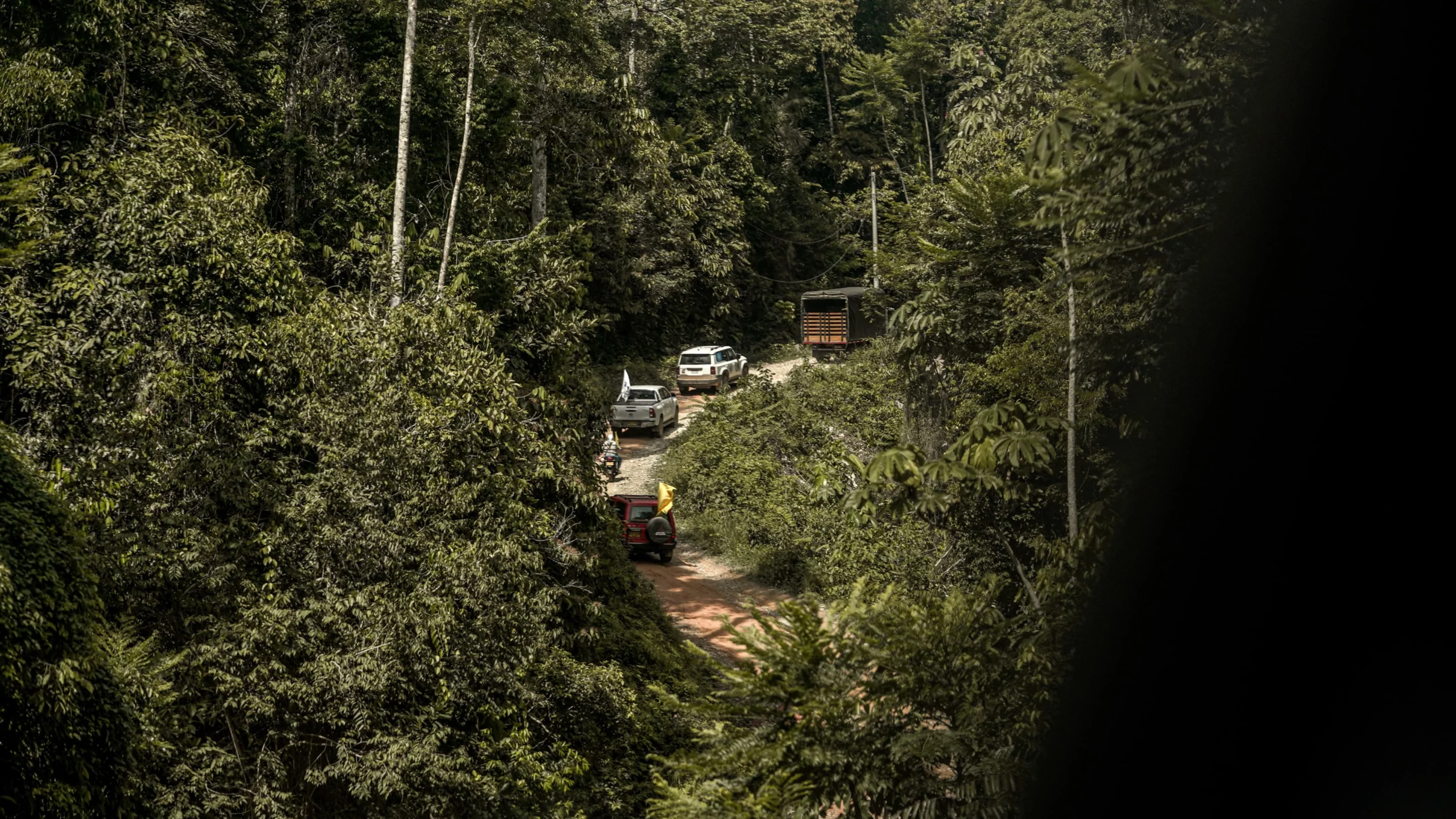 Para continuar su proceso de reincorporación: 19 firmantes de paz ya fueron trasladados tierra propia en Yalí 1 Firmantes Yali 1 scaled
