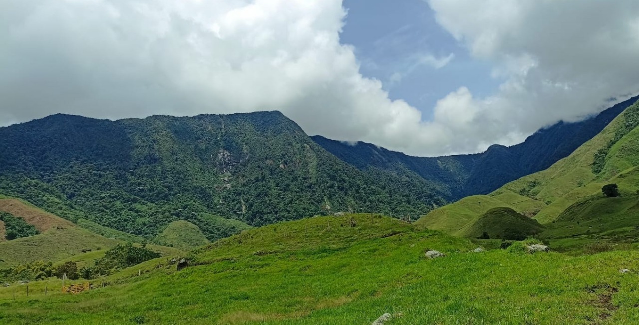 Antioquia y la conmemoración del día del medio ambiente: conozca avances, estrategias y acciones 2 Antioquia y la conmemoración del día del medio ambiente