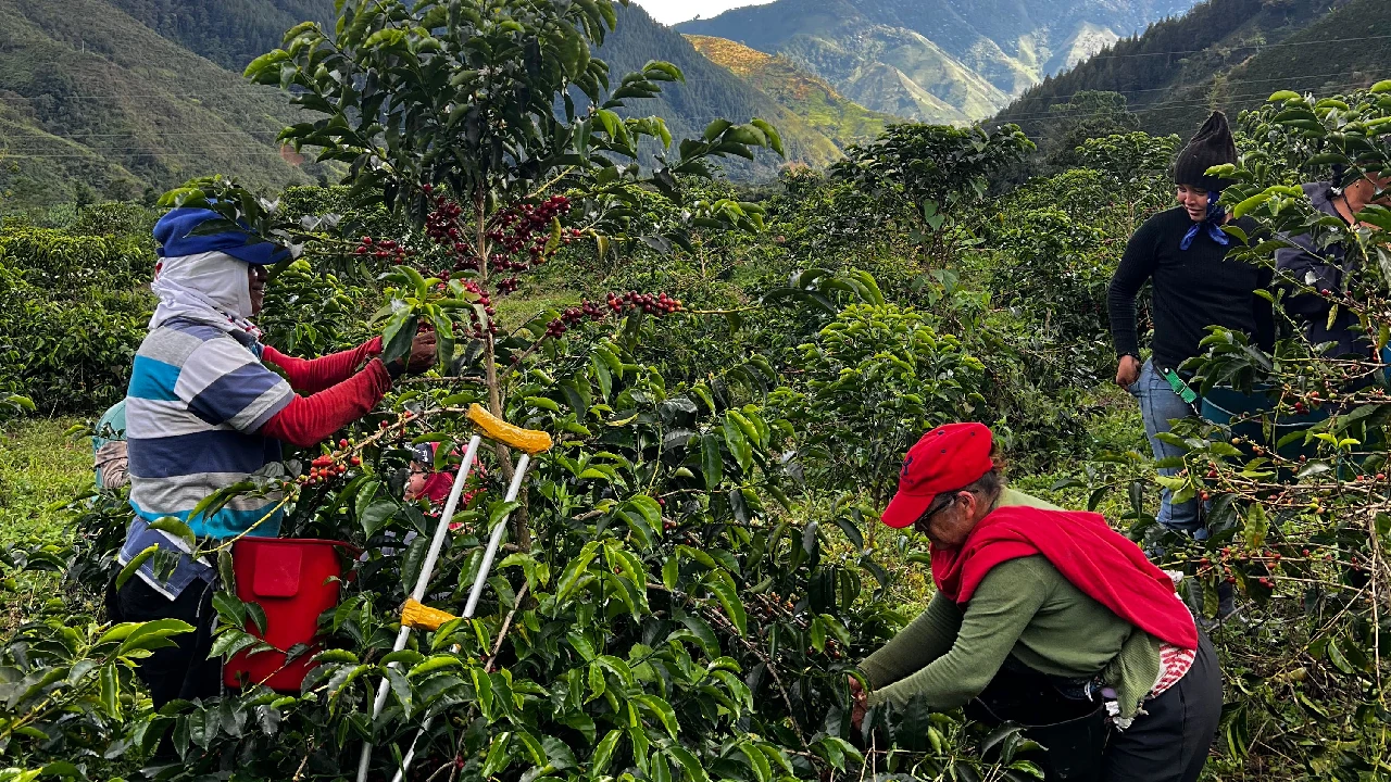 Laboratorios de Paz 2.0: el impulso empresarial que transformó a más de 30 mil negocios en Antioquia 1 dia-internacional-microempresas-impulso-interactuar-rural2