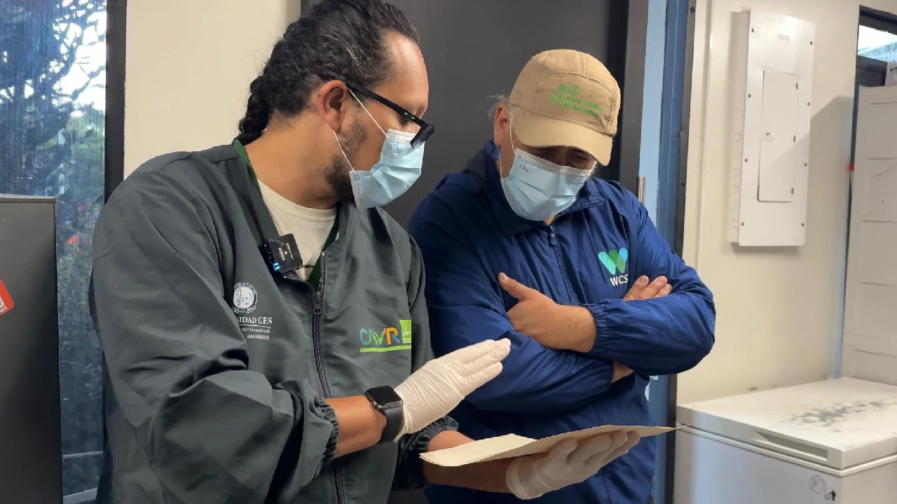 Medellín alberga el taller internacional para fortalecer la lucha contra el tráfico de fauna en LATAM 4 medellin-cavr-area-metropolitana-taller-internacional-trafico-fauna4