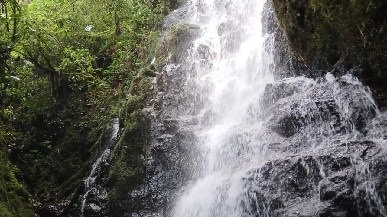 Antioquia y la conmemoración del día del medio ambiente: conozca avances, estrategias y acciones 1 Antioquia y la conmemoración del día del medio ambiente