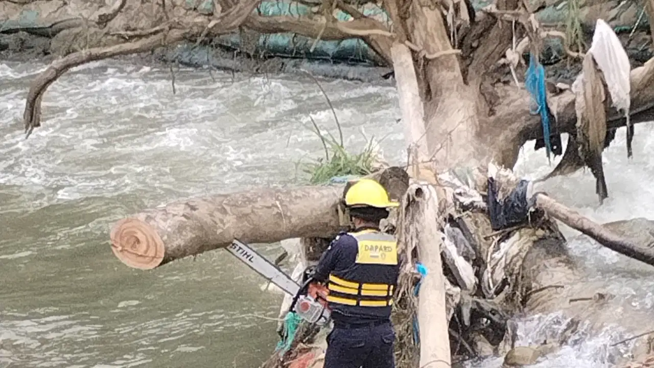 Bomberos actuaron a tiempo y evitaron que un árbol represara el río Medellín
