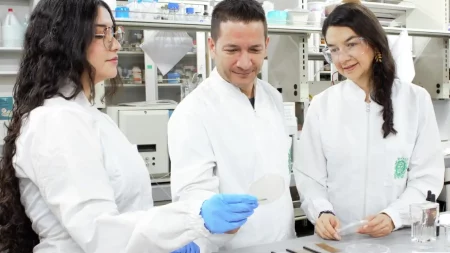 Desde la UdeA surge alternativa al plástico hecha con residuos de mango