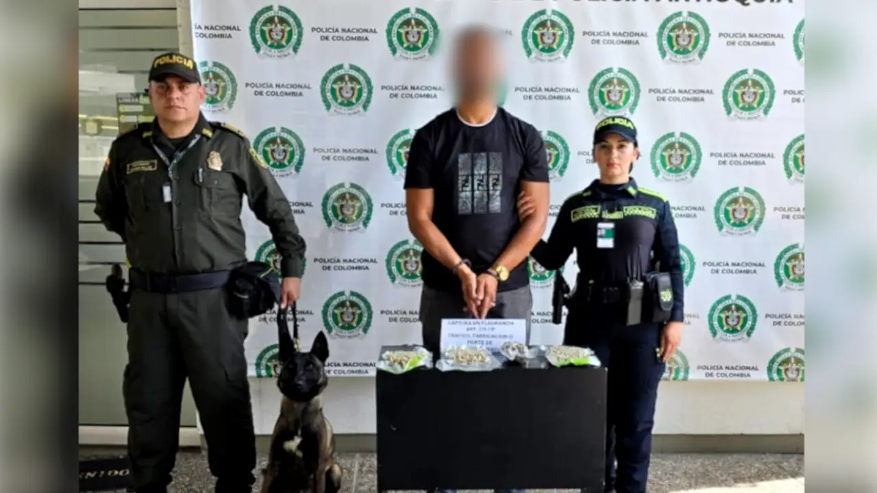 Perrito policía le descubrió a un turista cuatro paquetes de marihuana en un vuelo que iba a salir de Rionegro