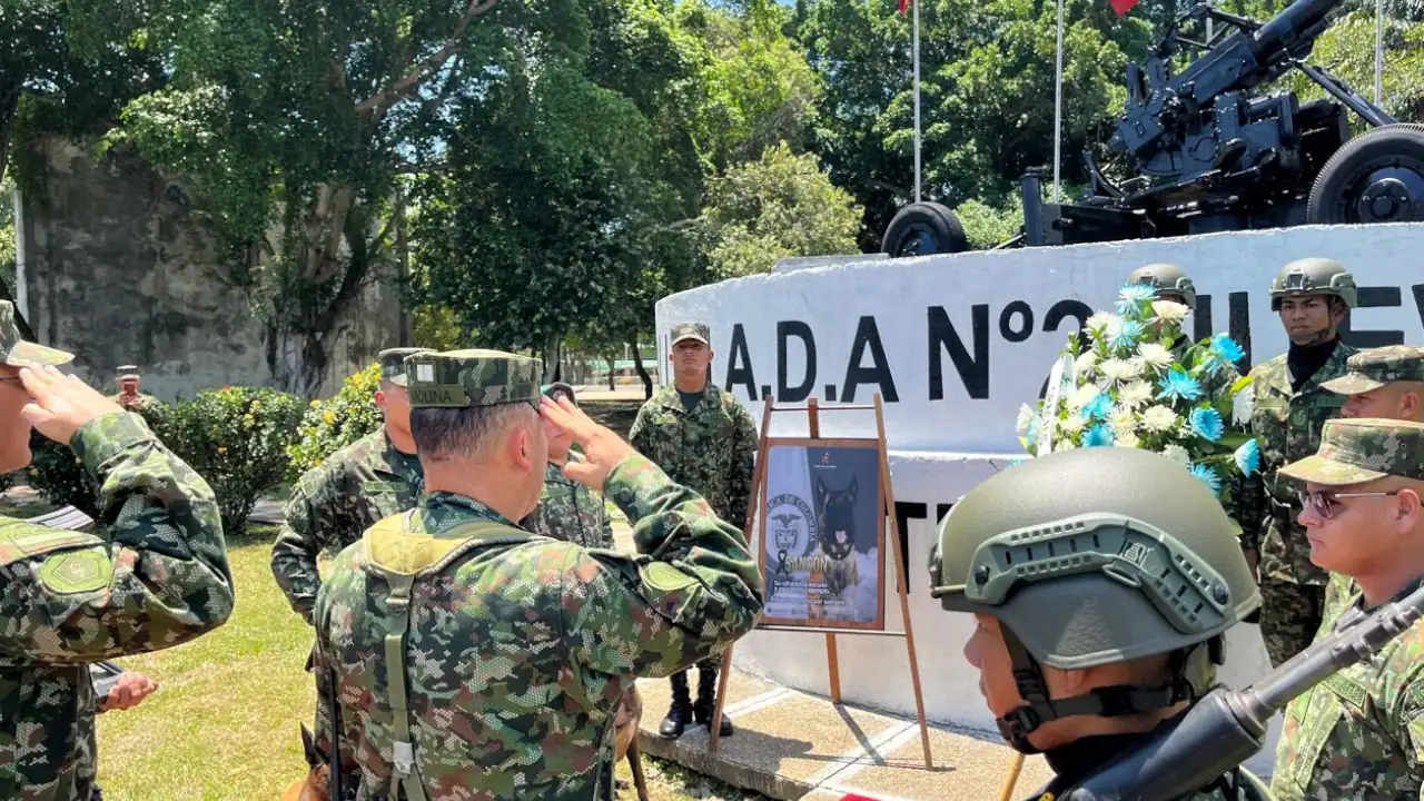  el perrito héroe del Ejército que dio su vida por 36 soldados