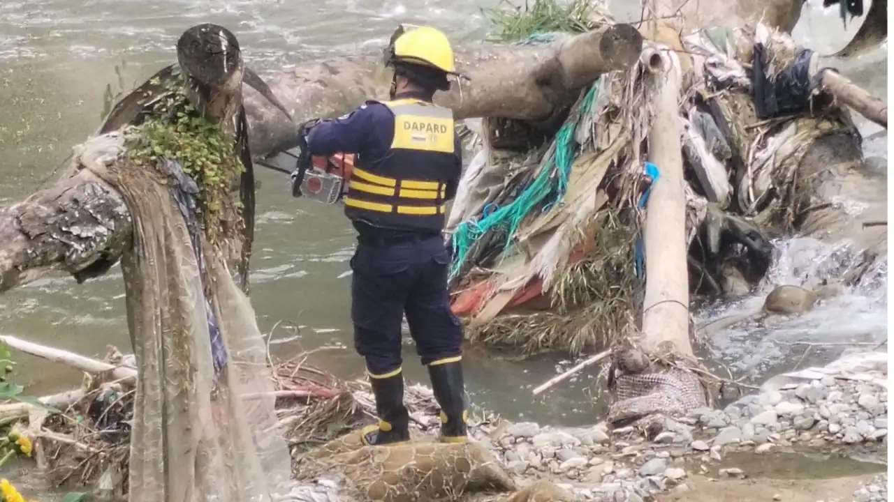 Bomberos actuaron a tiempo y evitaron que un árbol represara el río Medellín 1 Bomberos actuaron a tiempo y evitaron que un árbol represara el río Medellín