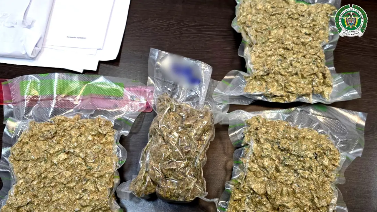 Perrito policía le descubrió a un turista cuatro paquetes de marihuana en un vuelo que iba a salir de Rionegro 1 Perrito policía le descubrió a un turista cuatro paquetes de marihuana en un vuelo que iba a salir de Rionegro
