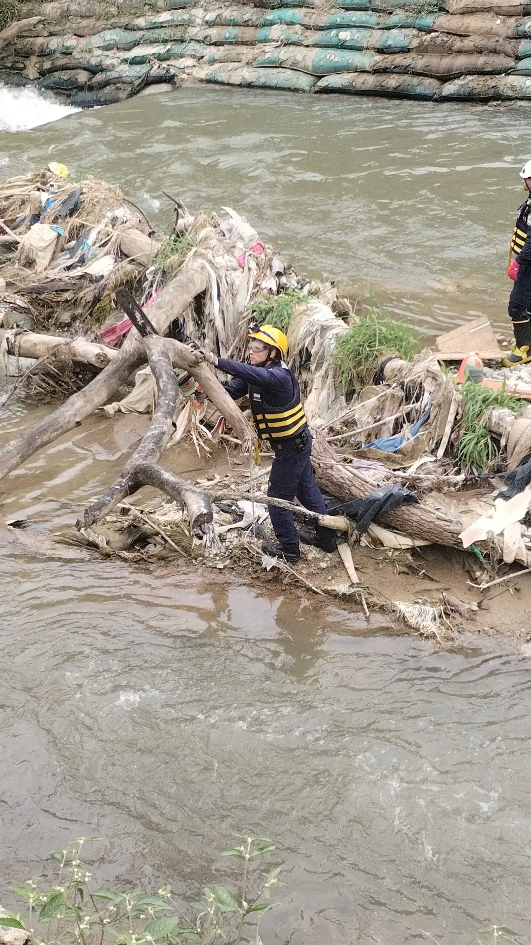 Bomberos actuaron a tiempo y evitaron que un árbol represara el río Medellín 2 Bomberos actuaron a tiempo y evitaron que un árbol represara el río Medellín
