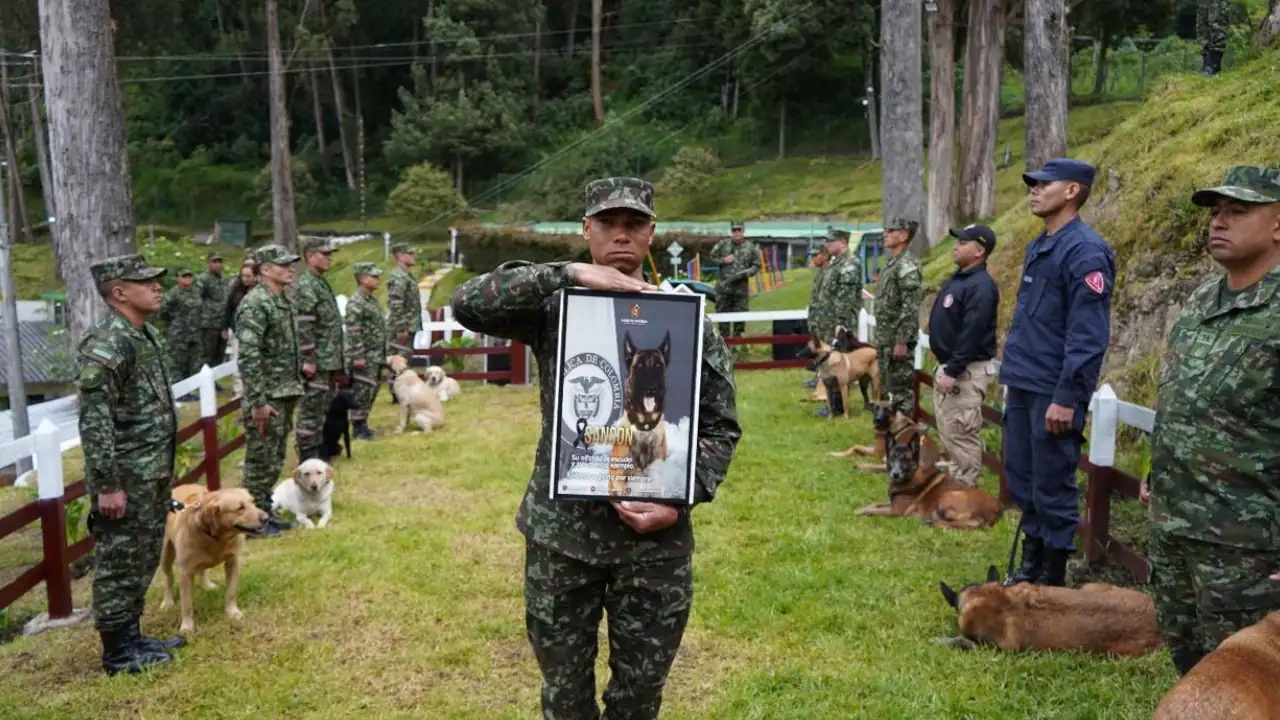 Homenaje a Sansón: el perrito héroe del Ejército que dio su vida por 36 soldados