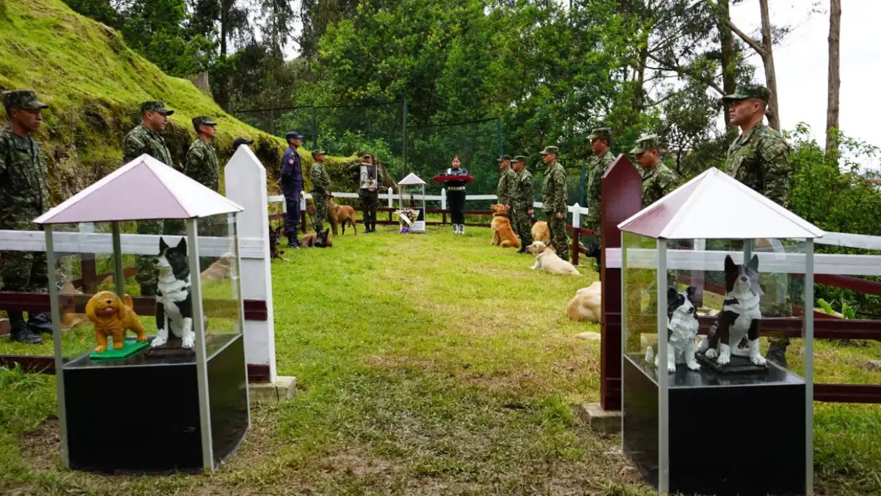  el perrito héroe del Ejército que dio su vida por 36 soldados