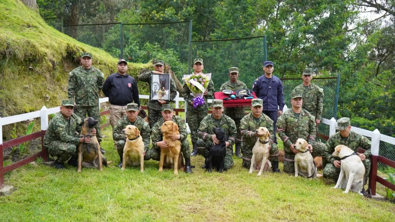  el perrito héroe del Ejército que dio su vida por 36 soldados