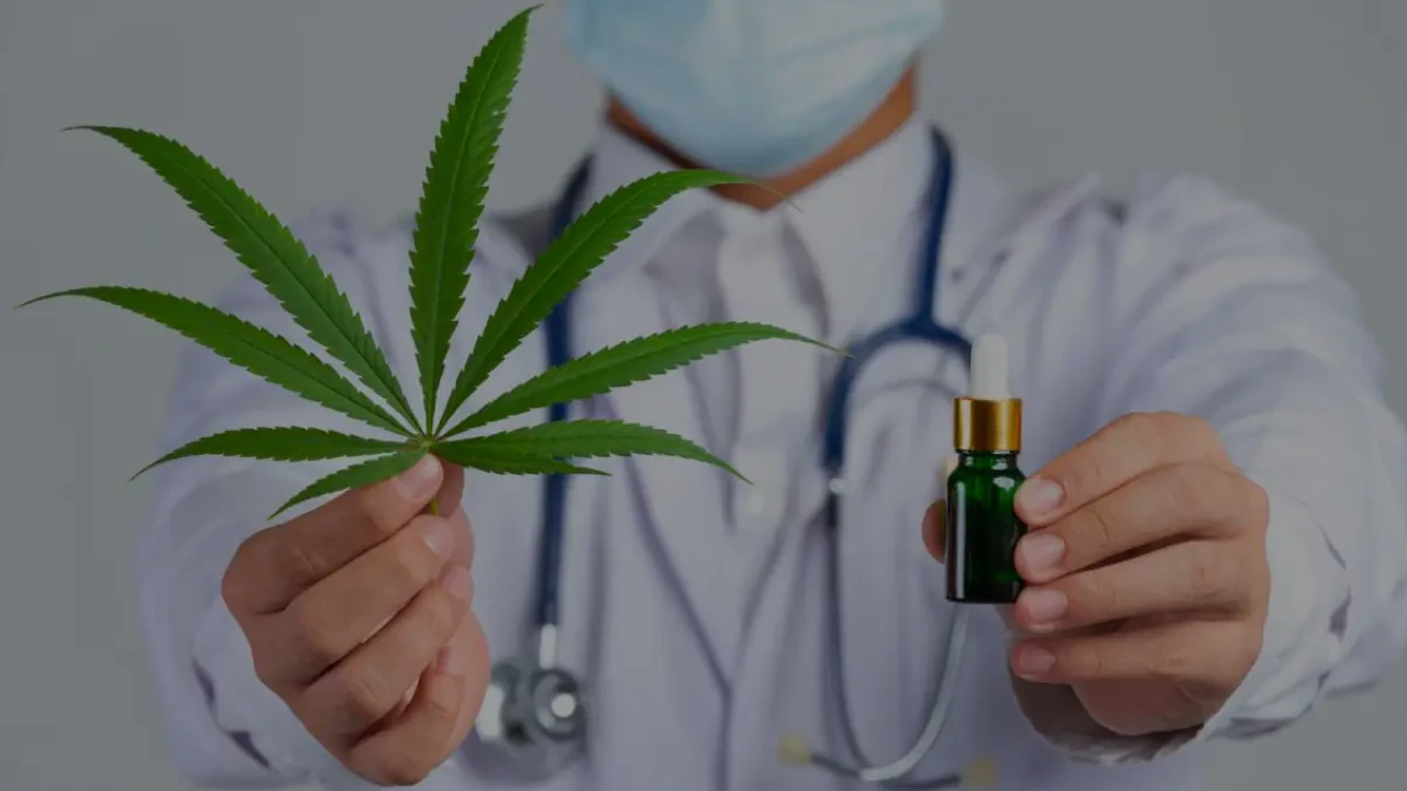 ¿Cannabis medicinal llegará a las droguerías? Gobierno prepara decreto para autorizar su venta