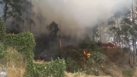 Incendio de cobertura vegetal en Las Granjas se suma a los 44 registrados en Medellín durante 2025
