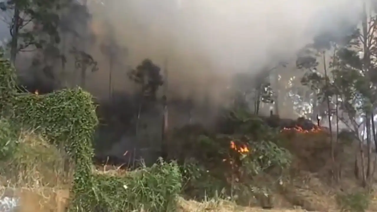 Incendio de cobertura vegetal en Las Granjas se suma a los 44 registrados en Medellín durante 2025