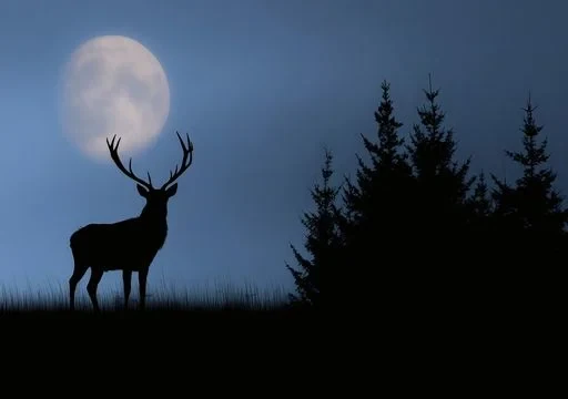 ¡Un hermoso espectáculo! La Luna de Ciervo iluminará el cielo este 10 de julio, ¿cuál es su significado? 1 Luna de ciervo