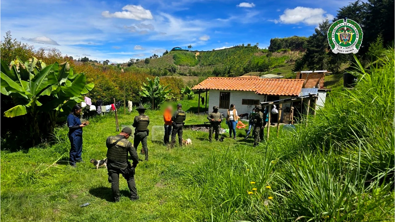 MaltratoAnimalSanVicenteDeFerrer4