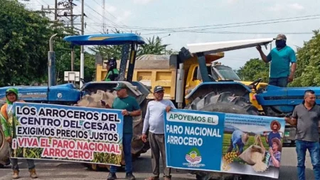 PARO ARROCERO