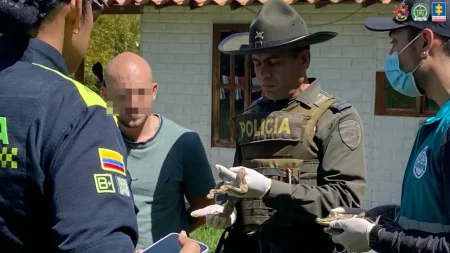 Hallaron 27 perros, babillas y boas en vivienda de Antioquia: su dueño fue capturado