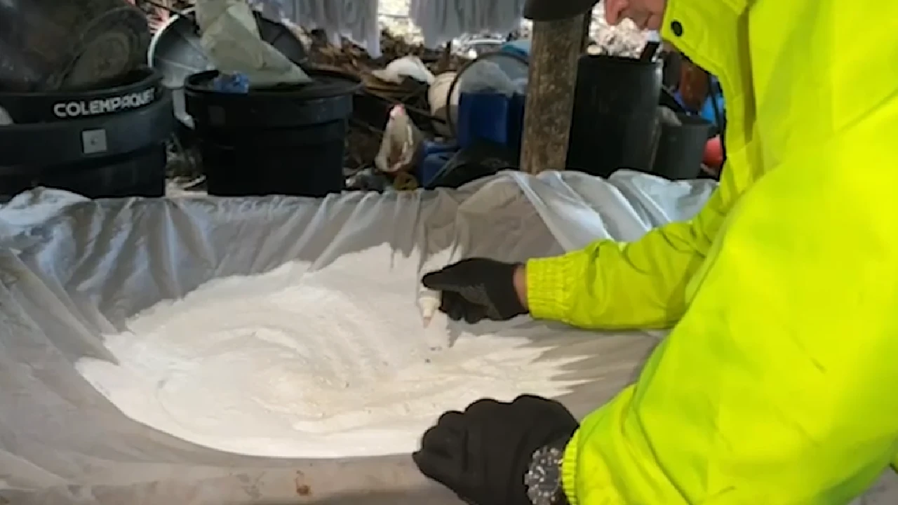 Desmantelaron complejo cocalero en Girardota: producía una tonelada semanal de droga para enviar al exterior 2 complejo-cocalero-desmantelado-girardota-hasta-dormitorios4