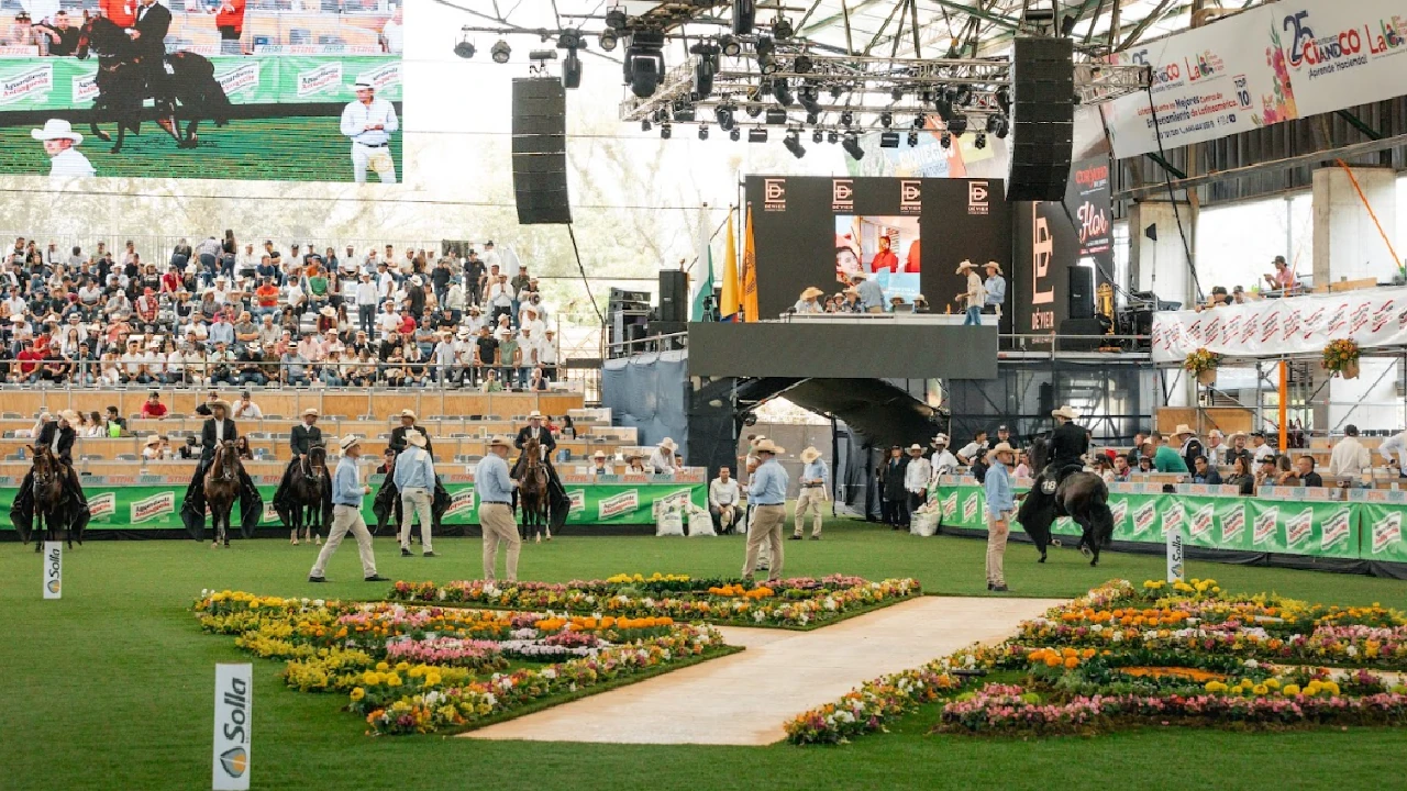 ¡A trote y paso fino! Alístese para la 66ª Expointernacional Equina Feria de las Flores-Asdesilla en Rionegro 2 feria-expointernacional-equina-feria-flores-caballo-criollo-colombiano3